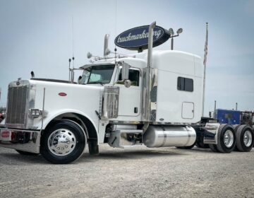 2006 PETERBILT 379EXHD SLEEPER 879010