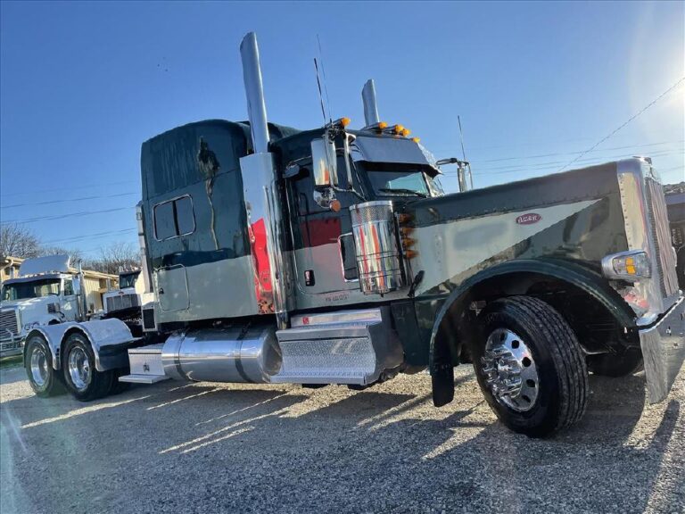 2020 PETERBILT 389 SLEEPER photo 3